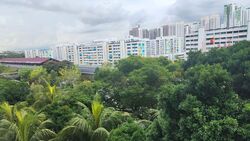 Blk 317 Woodlands Street 31 (Woodlands), HDB 3 Rooms #574398281